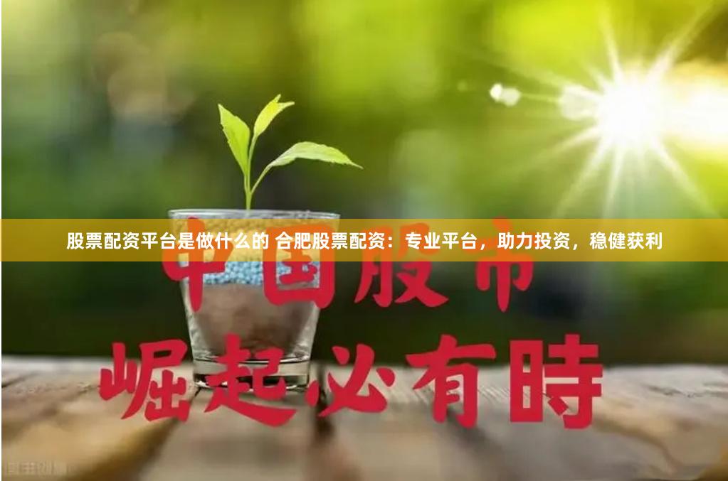 股票配资平台是做什么的 合肥股票配资：专业平台，助力投资，稳健获利
