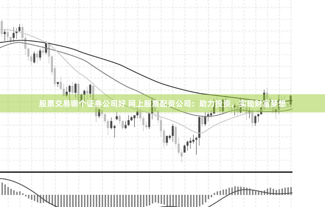 股票交易哪个证券公司好 网上股票配资公司：助力投资，实现财富梦想