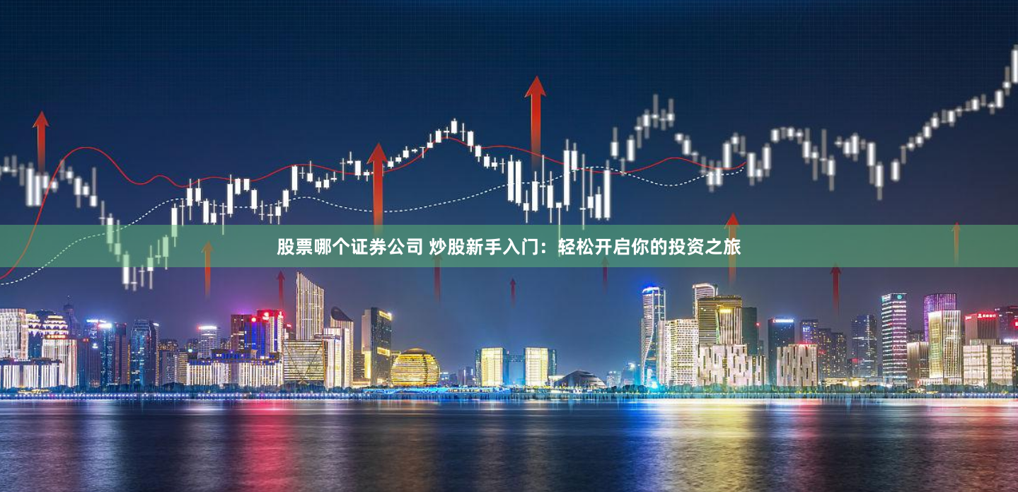 股票哪个证券公司 炒股新手入门：轻松开启你的投资之旅